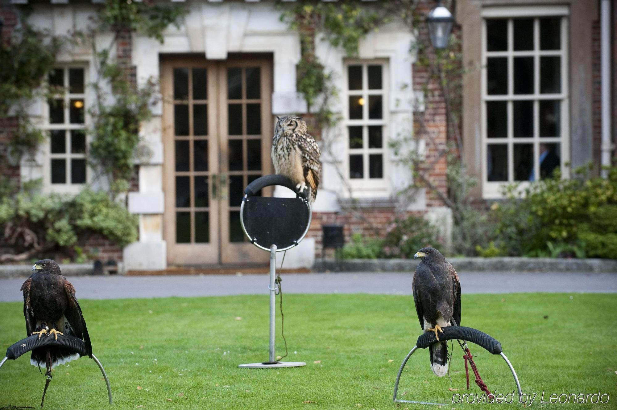 Lainston House Hotell Winchester Bekvämligheter bild